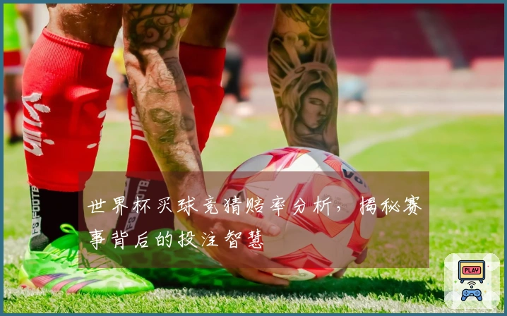 世界杯买球竞猜赔率分析，揭秘赛事背后的投注智慧