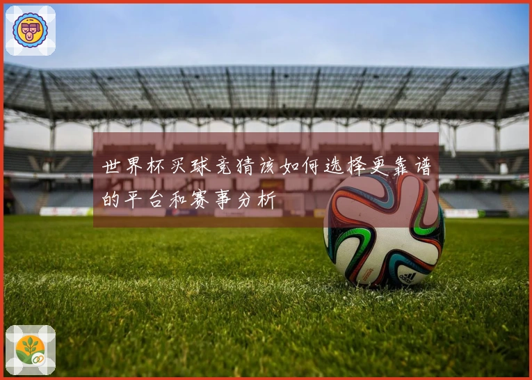 世界杯买球竞猜该如何选择更靠谱的平台和赛事分析