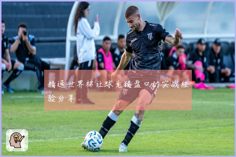 精通世界杯让球竞猜盘口的实战经验分享