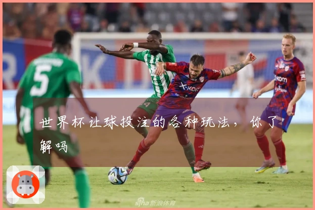 世界杯让球投注的各种玩法，你了解吗